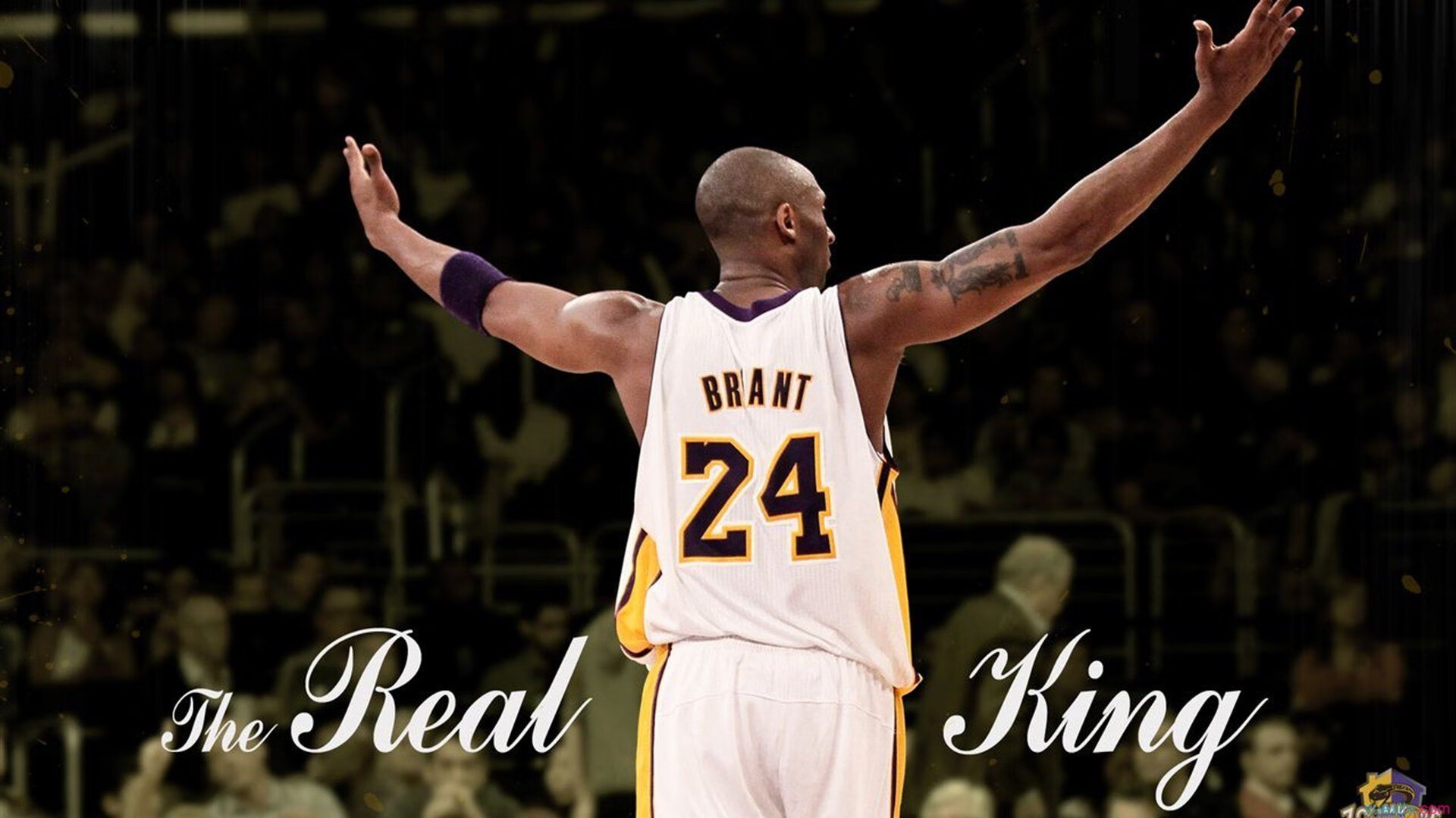 APEX英雄 新星选手崛起备受期待，apex l星